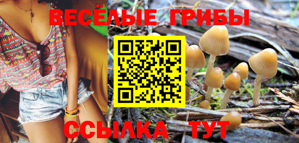 Галлюциногенные грибы MAGIC MUSHROOMS  Вход с VPN  наркотики  Грозный 