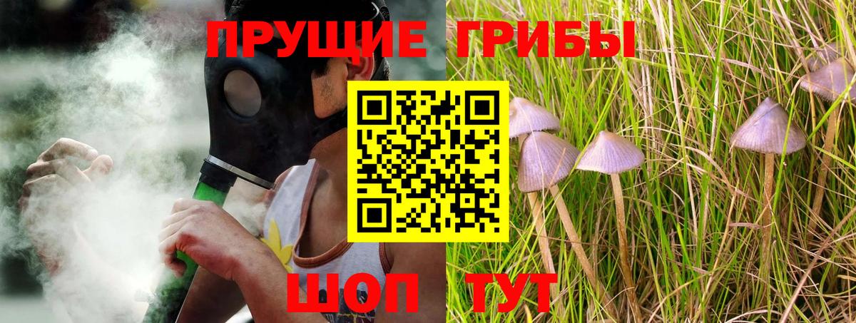 Псилоцибиновые грибы мицелий Грозный